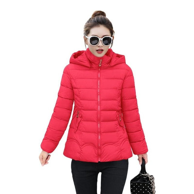 New style fashion autumn and winter women sweater 2019