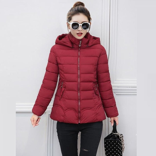 New style fashion autumn and winter women sweater 2019